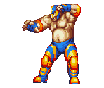 Raiden - Fatal Fury 