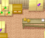 Vesta's Shop - Harvest Moon DS