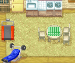 Wally's House - Harvest Moon DS