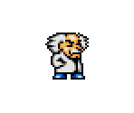 Dr. Wily - Mushroom Kingdom Fusion