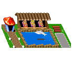 Dolphin Acts - Theme Park