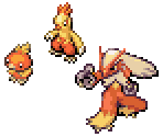 Torchic, Combusken & Blaziken - Pokémon Ranger 3: Guardian Signs