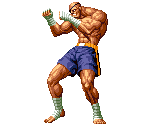 Sagat - SNK vs. Capcom: SVC Chaos