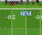 Fields - Retro Bowl