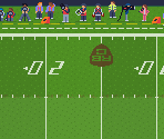 Fields - Retro Bowl College