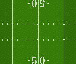 Arizona Cardinals - NFL RB 25