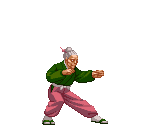 Tane - Power Instinct: Matrimelee