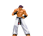 Reiji - Power Instinct: Matrimelee