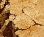Mountain Route - Stage 1 - Shock Troopers