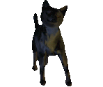 Cat Animation - Reikoku - Kizoku Ikeda's Psychics Laboratory