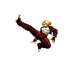 King - The King of Fighters '95