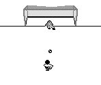 Field - Soccer Champion