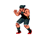 Salvador (Alternate Color) - Shadow Fighter