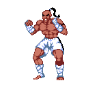 Top Knot (Alternate Color) - Shadow Fighter