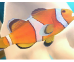 Fishes - Fishing Resort