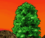 Jacky Stage - Virtua Fighter 2