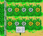 Sunflower Park - Hamtaro: Ham-Hams Unite