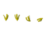 Items - Hoshigari Empusa!