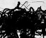 SCP-1048's drawings - SCP Containment Breach