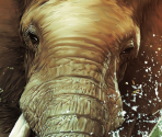 Game Banner & Icon - Cabela's African Adventures