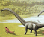 Herbivore 3 - Jurassic Park III: Park Builder