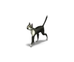 Cat 1 - Farm Frenzy 2