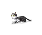 Cat - Farm Frenzy