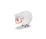 Sheep - Farm Frenzy