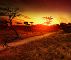 Game Banner & Icon - Cabela's Dangerous Hunts 2011