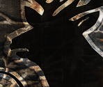 Game Banner & Icon - Cabela's North American Adventures