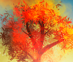 Mix 3 - Orange Tree - Pixel Puzzles