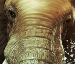 Game Banners & Icon - Cabela's African Adventures