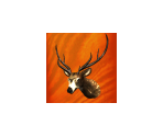 Achievement Icons - Cabela's Big Game Hunter