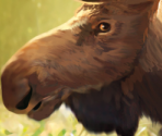 Game Banners & Icon - Cabela's Big Game Hunter: Hunting Party