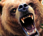 Game Banners & Icon - Cabela's Big Game Hunter 2012