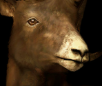 Game Banners & Icon - Cabela's Outdoor Adventures