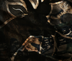 Game Banners & Icon - Cabela's North American Adventures