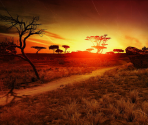 Game Banners & Icon - Cabela's Dangerous Hunts 2011