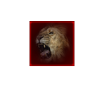 DLC Icons - Cabela's Dangerous Hunts 2013