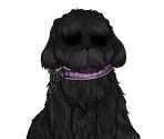 Dog - Yet Another Killing Game