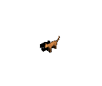 Cat - Avernum: Escape From the Pit