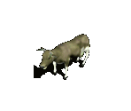 Cow - Avernum: Escape From the Pit