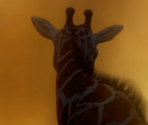 Game Banner & Icon - Afrika