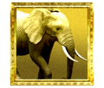Trophy Icons - Afrika