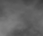 Fog - OTXO