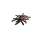 Spider - Avernum 2: Crystal Souls