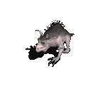 Worg - Avernum 2: Crystal Souls
