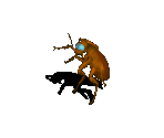 Roach 02 - Avernum 3: Ruined World