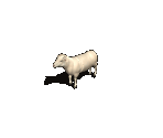 Sheep - Avernum 3: Ruined World