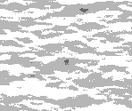 Wave - OTXO